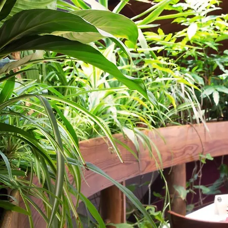 Arigone & Privatni Wellness 奥洛穆茨
