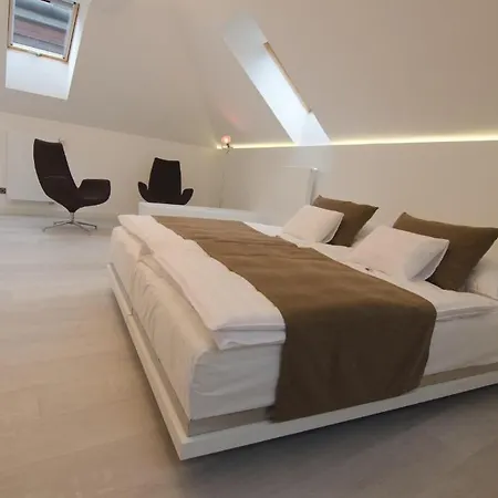 Arigone&privátní Wellness 4* Olmütz