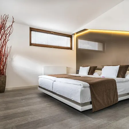 Arigone&privátní Wellness Hotel 4*