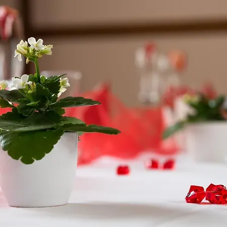 Arigone & Privatni Wellness Отель 4*